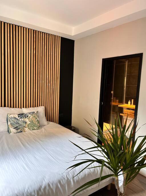 Appartement Cosy Centre Ajaccio 阿雅克肖 外观 照片